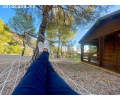 ¡Escápate a la tranquilidad del campo en esta encantadora finca rústica en Petrer, zona Ginebre!