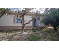 Casa de Campo muy acogedora, entre Elda y Sax. Ideal para vivir todo el año.