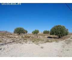 TERRENO EN EL FENAZAR