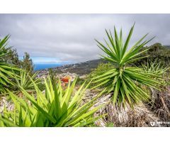 Encantadora casa en el bosque con vistas espectaculares