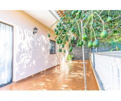 Amplia casa dividida en 3 viviendas independientes y una Casa de Invitados