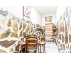 Amplia casa dividida en 3 viviendas independientes y una Casa de Invitados