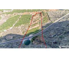 Terreno productivo excepcional en Buenavista del Norte