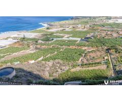 Terreno productivo excepcional en Buenavista del Norte