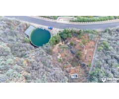 Terreno productivo excepcional en Buenavista del Norte
