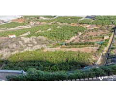 Terreno productivo excepcional en Buenavista del Norte