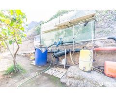Terreno productivo excepcional en Buenavista del Norte