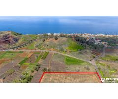 Chalet histórico con viñedo y bodega opcional en La Matanza de Acentejo