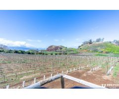 Chalet histórico con viñedo y bodega opcional en La Matanza de Acentejo