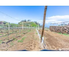 Chalet histórico con viñedo y bodega opcional en La Matanza de Acentejo