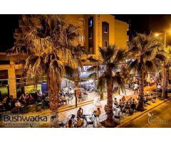Otros en alquiler ALICANTE