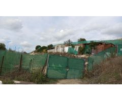 PARCELA EN PATERNA DE RIVERA