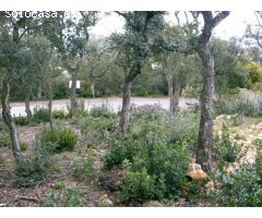 Parcela urbanizable en la Urbanización Mas Nou de Platja dAro