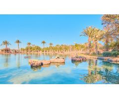 Apartamento en Venta en Torrevieja, Alicante