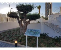 Apartamento en Alquiler en Benidorm, Alicante