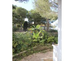 Chalet en Venta en Orihuela Costa, Alicante