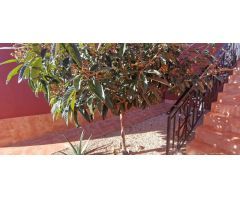 Chalet en Venta en Finestrat, Alicante