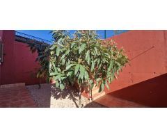 Chalet en Venta en Finestrat, Alicante