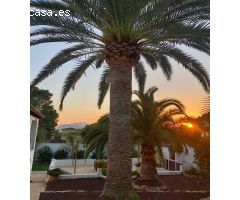 Chalet en Venta en Teulada, Alicante