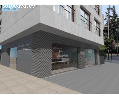Exclusiva Promoción de 5 viviendas y Local comercial en Paseo del Violón.