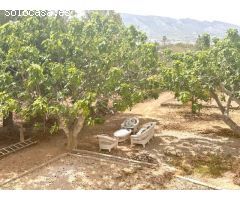 Casa de campo en Alquiler en Alfaz del Pí / LAlfàs Del Pi, Alicante
