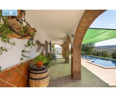 Estupendo chalet con apartamento y piscina en Salar