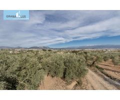 MAGNÍFICA PARCELA CERCANA A CTRA. DE URB. EL TORREÓN