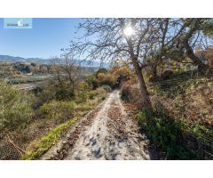 MAGNÍFICA FINCA JUNTO URBANIZACIÓN MOLINO ALTO