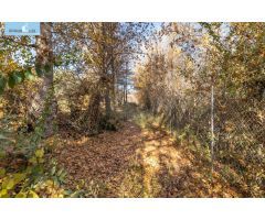 MAGNÍFICA FINCA JUNTO URBANIZACIÓN MOLINO ALTO