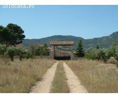 Finca rustica en Venta en Huertas de Villena, Alicante