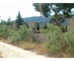 Finca rustica en Venta en Huertas de Villena, Alicante