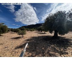 Parcela en Venta en Casas Abiar, Alicante