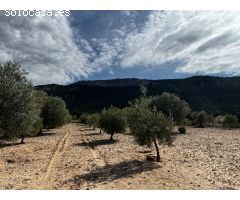 Parcela en Venta en Casas Abiar, Alicante