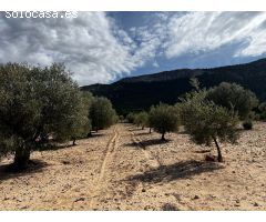 Parcela en Venta en Casas Abiar, Alicante