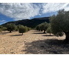 Parcela en Venta en Casas Abiar, Alicante