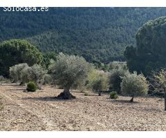 Parcela en Venta en Casas Abiar, Alicante