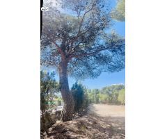 Parcela en Venta en Tibi, Alicante