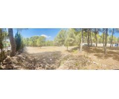 Parcela en Venta en Tibi, Alicante