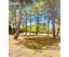 Parcela en Venta en Tibi, Alicante