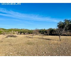 Parcela en Venta en Cañadas de Haches de Arriba, Alicante