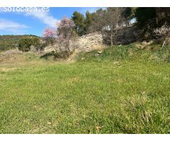 Parcela en Venta en Casas Abiar, Alicante