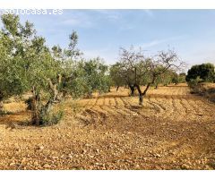 Casa de campo en Venta en Casas Abiar, Alicante