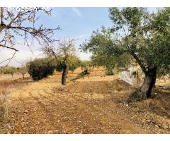 Casa de campo en Venta en Casas Abiar, Alicante