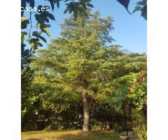 Chalet en Venta en Cañadas de Haches de Arriba, Alicante