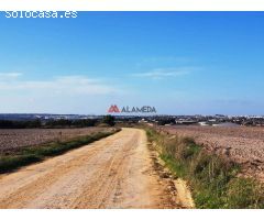 Parcela segregada de 3.353 m2 en Miralamar