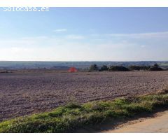 Parcela segregada de 3.353 m2 en Miralamar