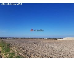 Parcela segregada de 3.353 m2 en Miralamar