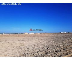 Parcela segregada de 3.353 m2 en Miralamar