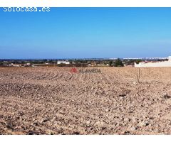 Parcela segregada de 3.353 m2 en Miralamar