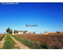 Parcela Segregada Miralamar